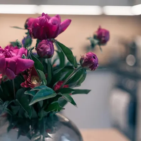 Gstrein - Including Silvretta Premium Summercard See