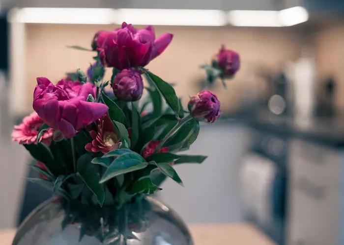 Gstrein - Including Silvretta Premium Summercard See